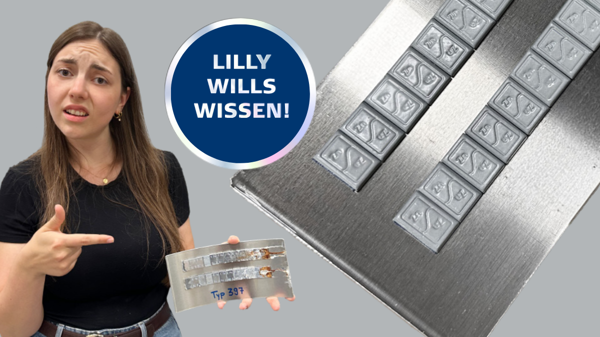 Lilly und verrostetes Auswuchtgewicht
