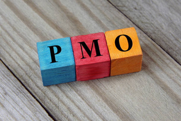 PMO-Manager (m/w/d)
